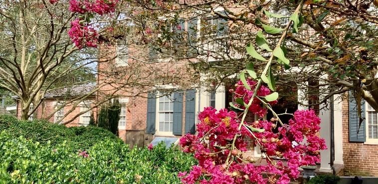 FB_IMG_1598795430967