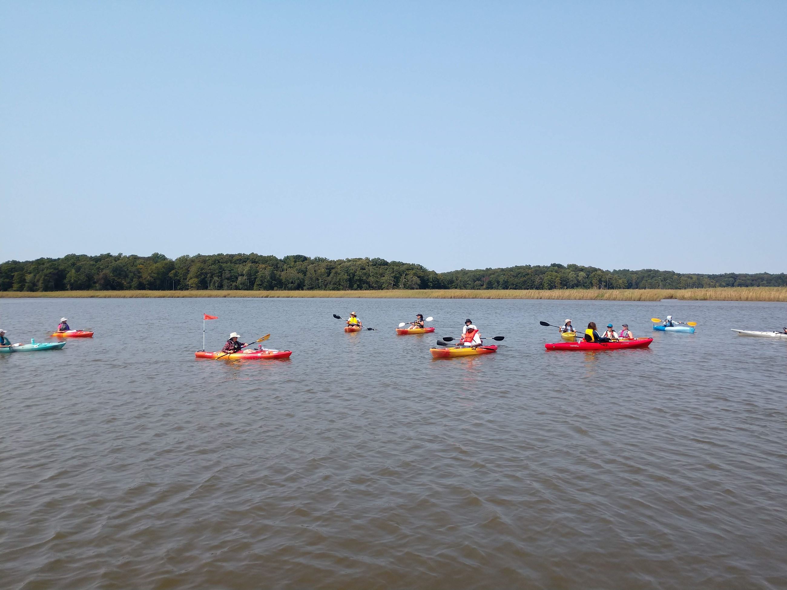 AAAIMG_20210912_135203248_BURST011